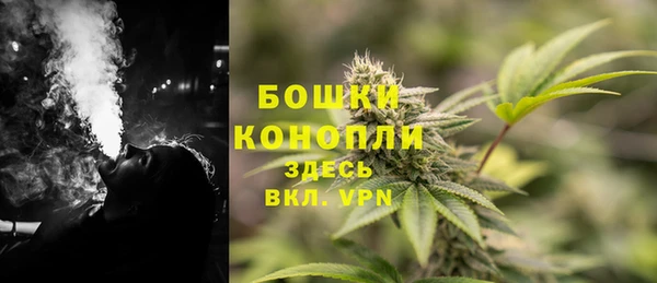 гидра Мегион