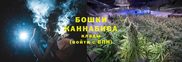 гидра Мегион