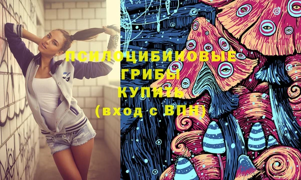 крисы Медвежьегорск