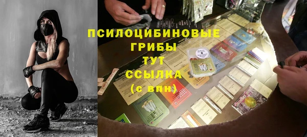 МДПВ Медногорск