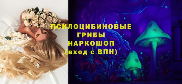 крисы Медвежьегорск