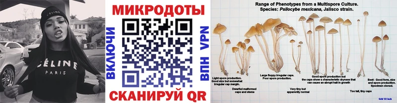 Галлюциногенные грибы Magic Shrooms  наркошоп  Долинск 