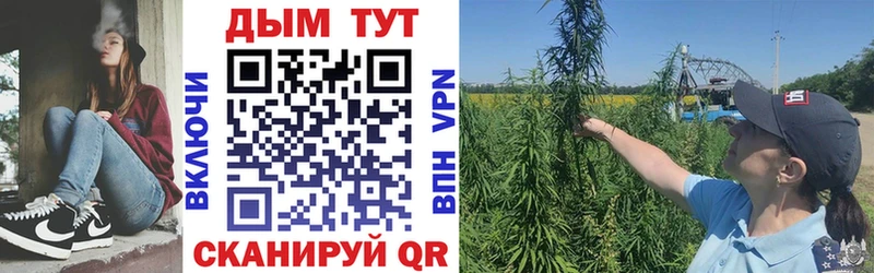 Канабис THC 21%  магазин продажи наркотиков  гидра ССЫЛКА  Долинск 